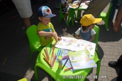 SAM_4733