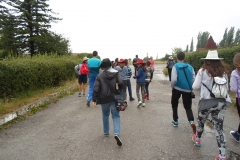 SAM_7942