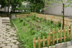 ул._Иларион_Драгостинов_17_рвализиран_2012г._2