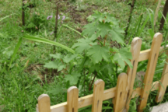 ул._Иларион_Драгостинов_17_рвализиран_2012г._3