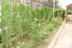 ул._Яребична_планина_8_реализиран_2011г._3