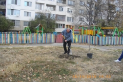 IMGP3379