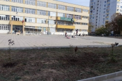 IMG-17-web