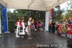 SAM_5612
