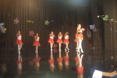 DSCN8995