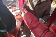 20190228_110349_HDR