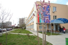 Picture1