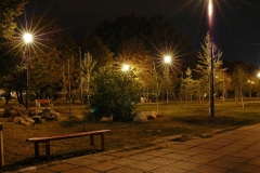 Picture10