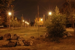 Picture11