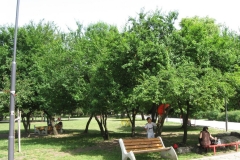 Picture114