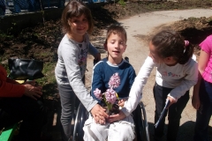 SAM_0264